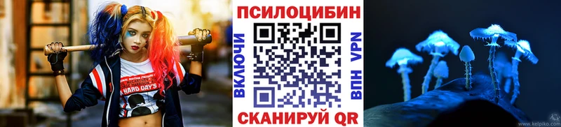 blacksprut сайт  Кадников  Галлюциногенные грибы GOLDEN TEACHER  где продают наркотики 