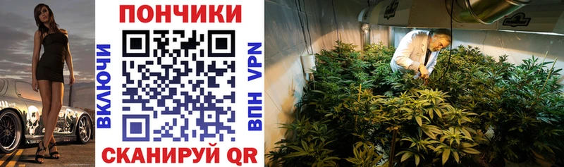 Шишки марихуана марихуана  продажа наркотиков  Кадников 